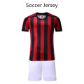 Blank Customized Soccer Uniform Set For Training